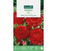 BOTANIC®-Renoncule coloris rouge botanic - 12 bulbes