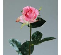 BOTANIC®-Rose colombienne artificielle