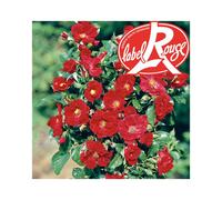 BOTANIC®-Rosier Xeruis Label Rouge en pot de 5L