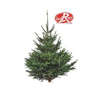 BOTANIC®-Sapin de Noël naturel coupé Label Rouge Nordmann - de 175 à 200 cm