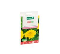 BOTANIC®-Souci bio botanic - graines à semer (3 m²)
