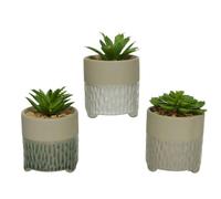 BOTANIC®-Succulentes artificielles coloris vert avec pot en béton - 6,5 x 9 cm