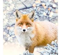 BOTANIC®-Tableau renard coloris orange impression digitale en toile - 80 x 80 cm