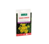BOTANIC®-Tanaisie commune bio botanic - graines à semer (3 m²)