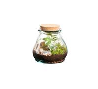BOTANIC®-Terrarium autonome botanic Bila Uso - Taille S diamètre 12 cm H 12 cm