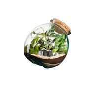 BOTANIC®-Terrarium autonome botanic Kuego - Taille L diamètre 26 cm H 26 cm