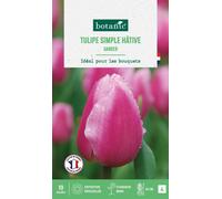 BOTANIC®-Tulipe simple hative gander botanic - 10 bulbes
