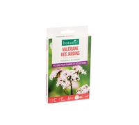 BOTANIC®-Valériane des jardins botanic - graines à semer (3 m²)