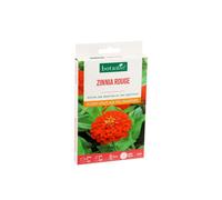 BOTANIC®-Zinnia rouge botanic - graines à semer (3 m²)