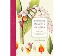 Botanical Drawing In Color