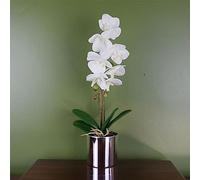 Botanik Orchidée Artificielle réaliste entièrement en Pot