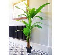 Botanik Palmier Artificiel réaliste en Pot et Arbres tropicaux - Prêt à être exposé