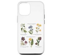 Botanique Vintage - Six Fleurs Sauvages avec des Noms latins Coque pour iPhone 12/12 Pro