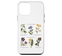 Botanique Vintage - Six Fleurs Sauvages avec des Noms latins Coque pour iPhone 12 Mini