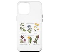 Botanique Vintage - Six Fleurs Sauvages avec des Noms latins Coque pour iPhone 12 Pro Max