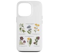 Botanique Vintage - Six Fleurs Sauvages avec des Noms latins Coque pour iPhone 13 Pro