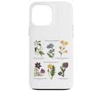 Botanique Vintage - Six Fleurs Sauvages avec des Noms latins Coque pour iPhone 13 Pro Max