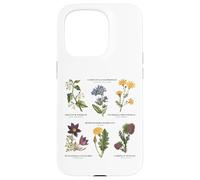 Botanique Vintage - Six Fleurs Sauvages avec des Noms latins Coque pour iPhone 15 Pro