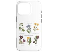 Botanique Vintage - Six Fleurs Sauvages avec des Noms latins Coque pour iPhone 16 Pro
