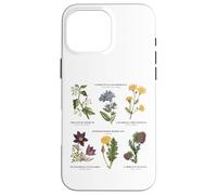 Botanique Vintage - Six Fleurs Sauvages avec des Noms latins Coque pour iPhone 16 Pro Max