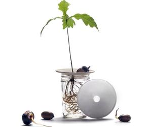 Botanopia Coupelle de Germination - Large