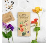 Botanopia Mélange de Graines pour Plantes Grimpantes - 1 sachet