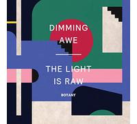 Botany - Dimming Awe: The Light Is Raw [VINYL]