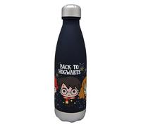 BOTELLA BACK TO HOGWARTS HARRY POTTER 650ML
