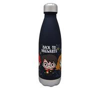 BOTELLA BACK TO HOGWARTS HARRY POTTER 650ML