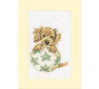 Bothy Threads Kit de broderie au point de croix - Anniversaire rebondissant