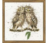 Bothy Threads oiseaux d'un plume point de croix kit