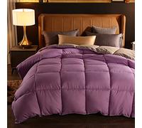 BOtizr Couette 2 Personne,Housse De Couette 240 X 260,Housse De Couette 220x240,Couette en Duvet LéGèRe Et Chaude pour Le Printemps/L'Automne/l'hiver,Un,180x220cm (4kg)