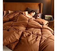 BOtizr Couette Bicolore 4 Saisons 200x200cm,Couette Chaude 140x200,éDredon Lit 2 Personnes 155 X 220 Cm,Couette en Duvet LéGèRe Et Chaude pour Le Printemps/L'Automne/l'hiver,H,220x240cm (4kg)