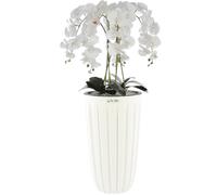 botle Bouquet d'orchidée artificielle en cascade blanche avec rainures - Hauteur : 100 cm - Fleurs caoutchoutées - Décoration belle et élégante pour la maison, le bureau
