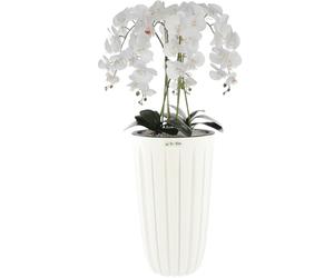 botle Bouquet d'orchidée artificielle en cascade blanche avec rainures - Hauteur : 100 cm - Fleurs caoutchoutées - Décoration belle et élégante pour la maison, le bureau