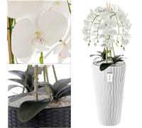 botle Bouquet d'orchidée artificielle en cascade blanche dans un pot blanc, hauteur 115 cm, décoration de bureau à domicile, plante artificielle, fleur artificielle, orchidée artificielle en pot