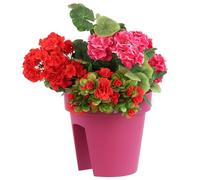 botle Jardinière de Balcon Ovale - 24,5 cm - 5 l - Fuchsia