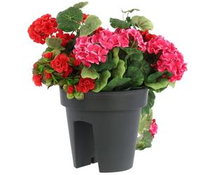 botle Jardinière de Balcon Ovale Anthracite 24,5 cm 5 l