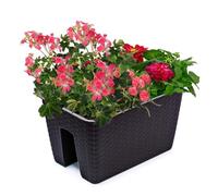 botle Jardinière en Imitation rotin pour Balustrade, Balcon, terrasse, 39,6 cm - Marron