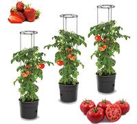 botle Lot de 3 pots de fleurs pour tomate - 12 l - Pour tomates - Pot à tomates - Cache-pot - Légumes - Lavage des tomates