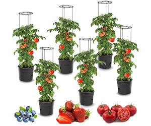 botle Lot de 6 pots de fleurs pour tomates - 28 l - Pour tomates - 28 l - Pour laver les tomates