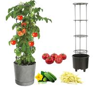 botle Pot à tomates - Pot pour la culture de plantes grimpantes - Pot à légumes - Diamètre : 30 cm - Béton gris - En plastique + insert avec cadre haut