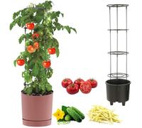 botle Pot à tomates - Pot pour la culture de plantes grimpantes - Pot à légumes - Diamètre : 30 cm - En plastique - Rose - Avec insert avec cadre haut