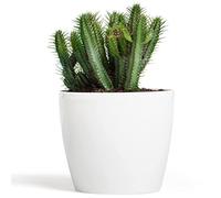 botle Pot de Fleur Rond Cache Pot en Plastique Jardiniere pour Plantes PlantesExterieures et Interieures Pot Brillant Blanc D 300 mm H 265 mm