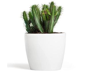 botle Pot de Fleur Rond Cache Pot en Plastique Jardiniere pour Plantes PlantesExterieures et Interieures Pot Brillant Blanc D 300 mm H 265 mm