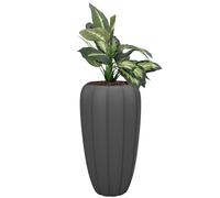 botle Pot de fleurs avec insert - Couleur anthracite - Rond - 40 cm - Hauteur 75 cm - Surface mate - En plastique mat - Moderne et glamour