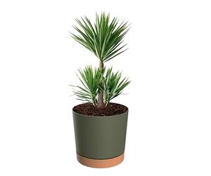 botle Pot de fleurs avec support - Rond - Grand pot de fleurs - Diamètre : 40 cm - Hauteur : 38 cm - Mat - 35 l - Vert - Support amovible - Surface mate - Décoration d'intérieur - Terrasse de jardin