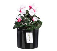 botle Pot de fleurs Ceramique, rond, couleur : noir, diamètre : 16,5 cm, hauteur : 16 cm, surface brillante, moderne, glamour