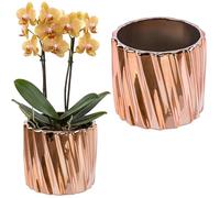 botle Pot de fleurs, en céramique, effet miroir, or rose, diamètre : 13,5 cm, pour plantes d'intérieur, structure brillante, glamour