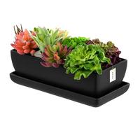 botle Pot de fleurs en céramique noir avec soucoupe rectangulaire L x l x H 15 cm x 29 cm x 9 cm Surface mate Cactus moderne glamour